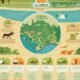 Columbus Zoo vs Cincinnati Zoo - Comparing Ohio's Top Zoological Parks